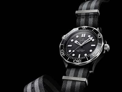 OMEGA - Seamaster Diver 300M Keramik Titan